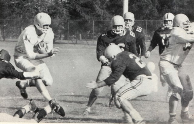 tackle.jpg